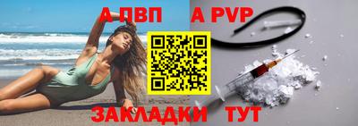 кокс Кингисепп