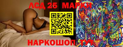 кокс Кингисепп
