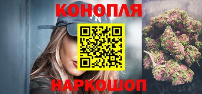 кокс Кингисепп