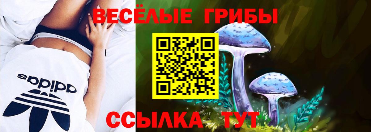 Псилоцибиновые грибы прущие грибы Кстово